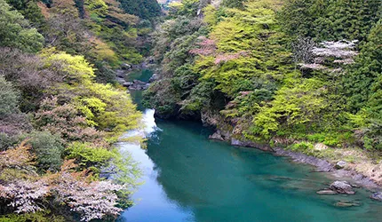 離東京最近的世外桃源──奧多摩市