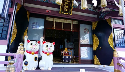 滿滿包圍的萌感！特搜3間東京必去「招財貓」可愛朝聖地！