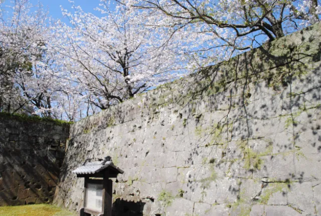 鹿兒島怎麼玩？跟著篤姬的腳步遊鹿兒島！