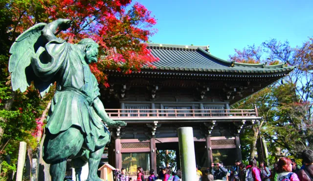 東京近郊登山去！高尾山一日遊