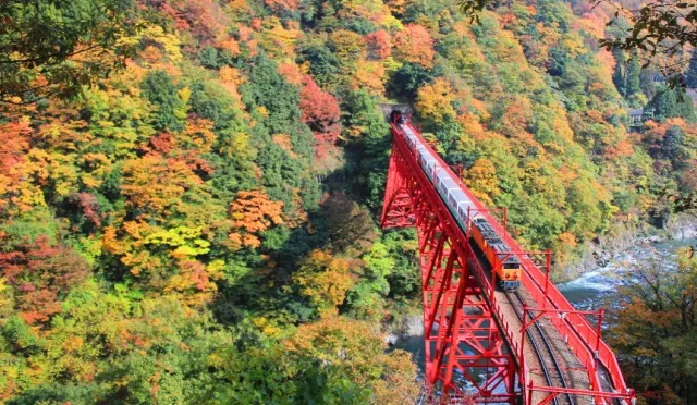 搭乘小火車，探訪富山縣「黑部峽谷」秘境！