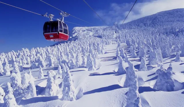 秋冬最美！宮城、山形、福島、新潟：秋冬限定魅力景點特集！