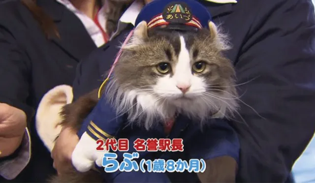 萌翻的療癒系──日本全國的人氣動物站長大集合