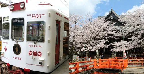 春日輕遊小旅行：和歌山3天2夜賞櫻採草莓之旅