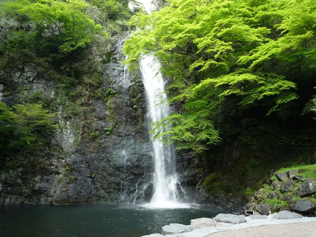 近郊輕旅行！夏季清涼、秋季楓紅的關西第一瀑布名所「箕面大滝」