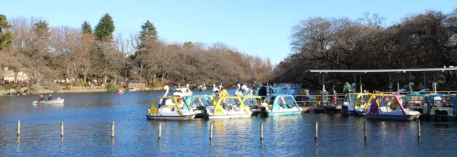 情侶慎入？吉祥寺井之頭恩賜公園青春一日遊