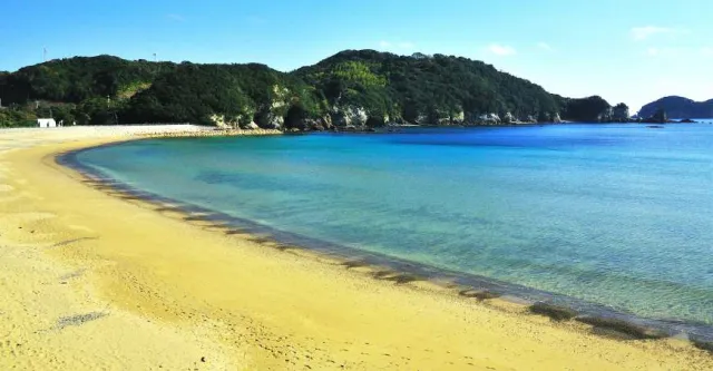 海龜、大海、伊勢蝦！快來「德島縣南部」同時享用美食和美景
