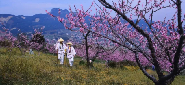 四國遍路巡禮：跟著弘海大師走遍四國88寺，來場淨化心靈之旅！ 的縮圖