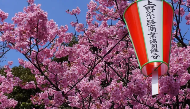 一手掌握東京的天氣特色，讓旅遊安排更順利！