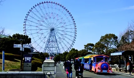 當水族館、摩天輪與東京灣相會，將擦出什麼火花？一起走訪「葛西臨海公園」！