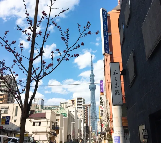不僅是打卡熱點還是購物天堂！東京必訪地標晴空塔散步＆購物地圖！