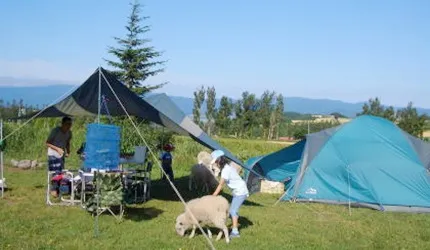 夏天，來一場說走就走的北海道露營之旅吧！