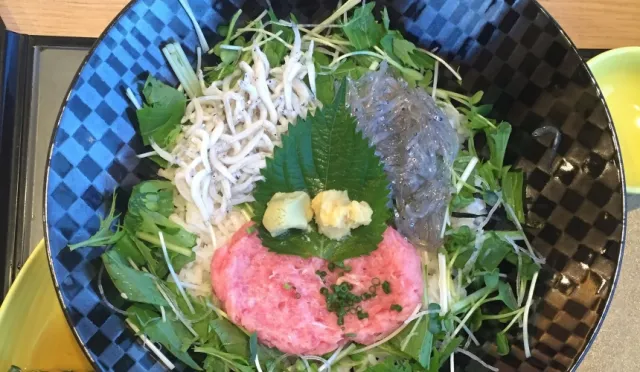 來鎌倉必吃！湘南名物「生吻仔魚」超美味，丼飯、熱吐司絕不能錯過！