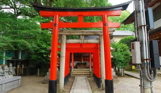 京都賞花名所──祈求勝運的藤森神社