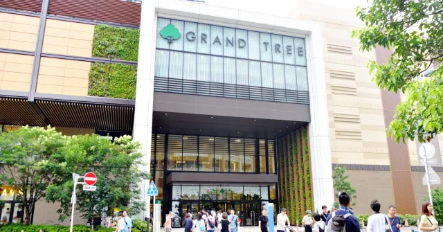【東京親子行程】武藏小杉「GRAND TREE」一次滿足遛小孩購物美食三種願望