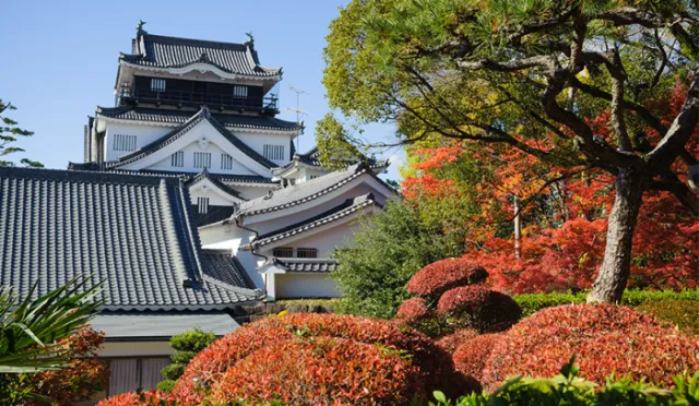 江戶幕府的源頭！來岡崎城探訪初代江戶幕府征夷大將軍──德川家康