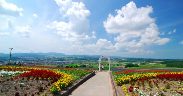 不可錯過的北海道薰衣草之夏！絕美超夢幻紫色山丘「日之出公園」