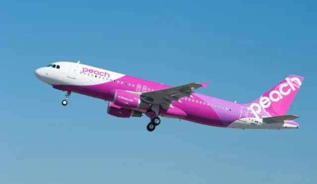 台灣直飛日本「廉價航空」超實用全攻略！票價種類、手提托運行李注意事項總整理