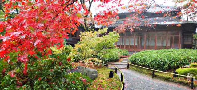 淺談日本庭園文化及日本三大名園：金澤兼六園、岡山後樂園、水戶偕樂園