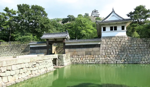 讚岐國名所，現存12天守與最高石垣之美──丸龜城