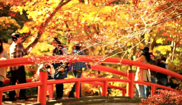 溫泉、老街與美景──充滿復古風情的伊香保溫泉