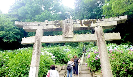 電車桃太郎線心動冒險，日本岡山能量景點巡禮【下篇】