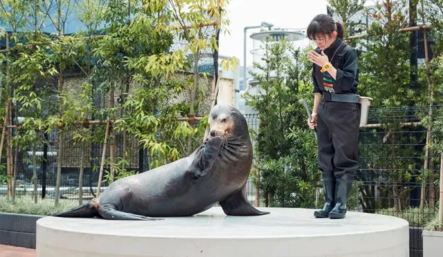 【MiCHi cafe 活動速報】來到「Maxell Aqua Park 品川」水族館，在城市中感受海洋之美