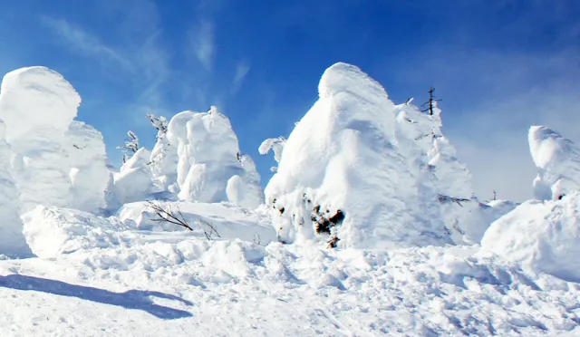 日本東北冬天必看奇景！來去「藏王樹冰」和雪怪近距離接觸！