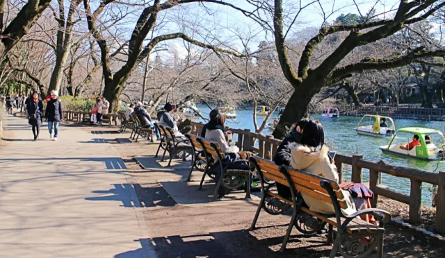 連日本人也無法抗拒她的魅力！東京生活感滿載的「吉祥寺」
