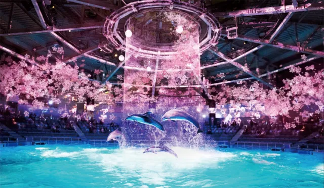 【速報】滿滿感動看見日本櫻花雨！Maxell Aqua Park 品川水族館雷射光雕炫麗登場