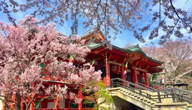 東京愜意角落「目黑」的女子一日旅，不用到熱門景點也能玩得很盡興！
