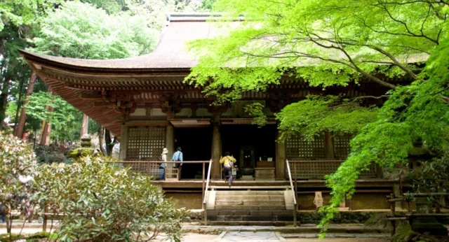 在山林之間與「神」結緣：奈良縣的宇陀三社寺！