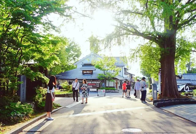 長野2天1夜女子旅提案！一起走訪小布施、善光寺，深度體驗長野悠閒風光！