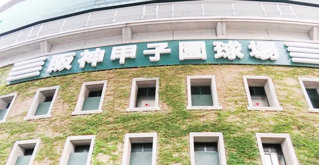 【MiCHi cafe 活動速報】夏日熱血棒球季「夢之甲子園！日語講座」