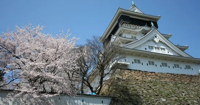 北九州的續百大名城，戰國名將細川忠興所築之「小倉城」