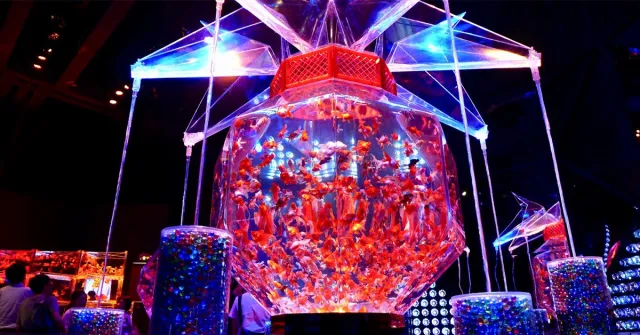 來江戶乘涼吧！2018日本橋ECO EDO納涼祭，金魚、風鈴、花火的日本夏之宴