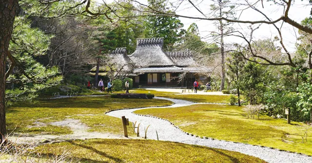 外國觀光客免費入園！隱身在奈良東大寺一角的美麗和風庭園「吉城園」