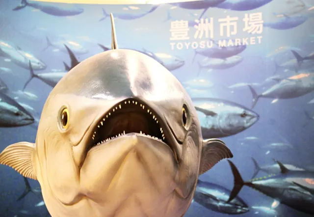東京人新廚房「豐洲市場」圖解全攻略！參觀動線、設施介紹、名店搬去哪看這篇就對了！