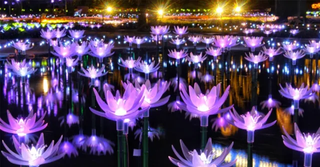足利花卉公園450萬顆浪漫燈海，冬季就來日本賞燈飾！