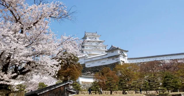 你是日本自由行達人嗎？3分鐘答題「日本三大◯◯」考驗你的旅日制霸程度！ 的縮圖