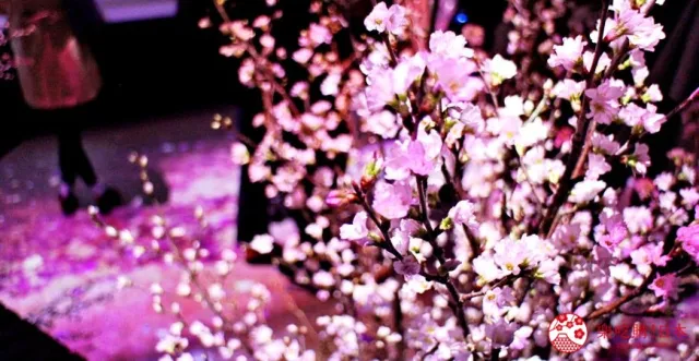日本橋櫻花海正在召喚你！來「FLOWERS BY NAKED」光雕秀賞櫻、喝立頓花茶！