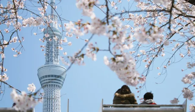 登上世界第一高電波塔「東京晴空塔」！交通、展望台購票、玩樂全攻略