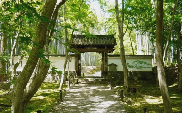 你不知道的京都「嵐山秘境」大公開！西芳寺、祇王寺和竹林絕景一次收藏！