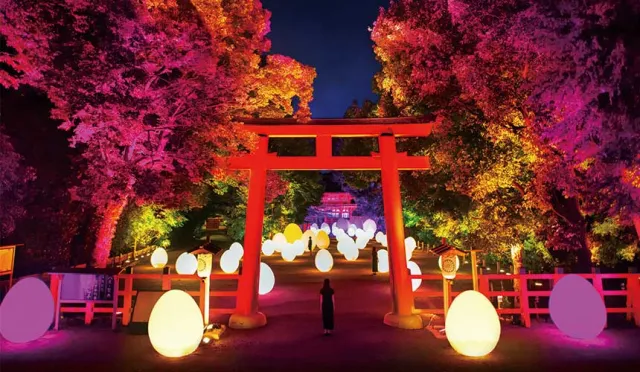進入teamLab的迷幻夜世界！京都下鴨神社糺之森之光祭典2019盛夏再現