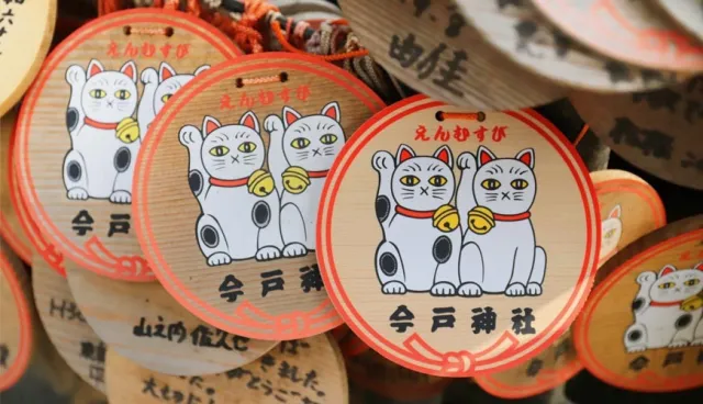 淺草之外還有隱密的「裏淺草」！深入東京下町，拜訪貓咪神社、昭和風澡堂！