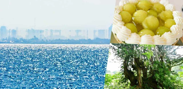 日本深度旅遊新熱點「魚津」！超夢幻海市蜃樓、洞杉森林、蜜瓜碗，走進絕景美食世界