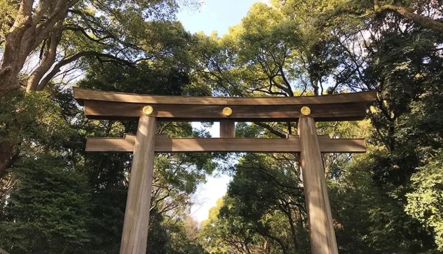 參拜人數日本第一！東京必去「明治神宮」10大重點CHECK！