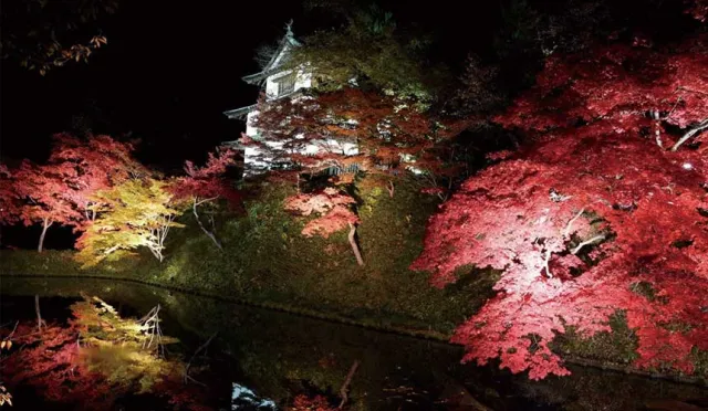 不到青森縣不知日本之美！超人氣賞楓景點「弘前城菊花與紅葉祭」10/18開跑