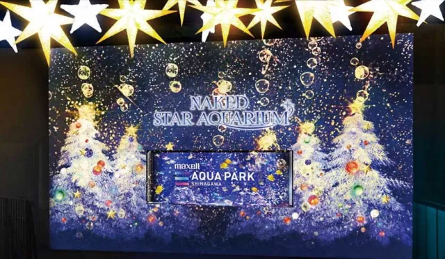 來Maxell Aqua Park品川水族館度過奇幻聖誕！最吸晴的NAKED冬季光雕投影展