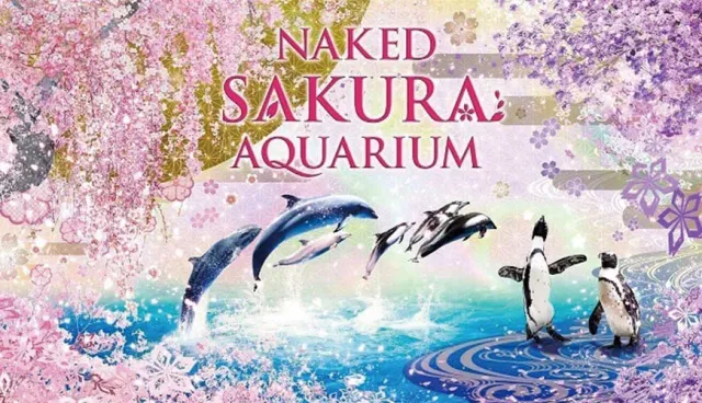 2020年Maxell Aqua Park品川水族館與NAKED春季櫻花重頭戲！海豚、企鵝陪你一起賞櫻